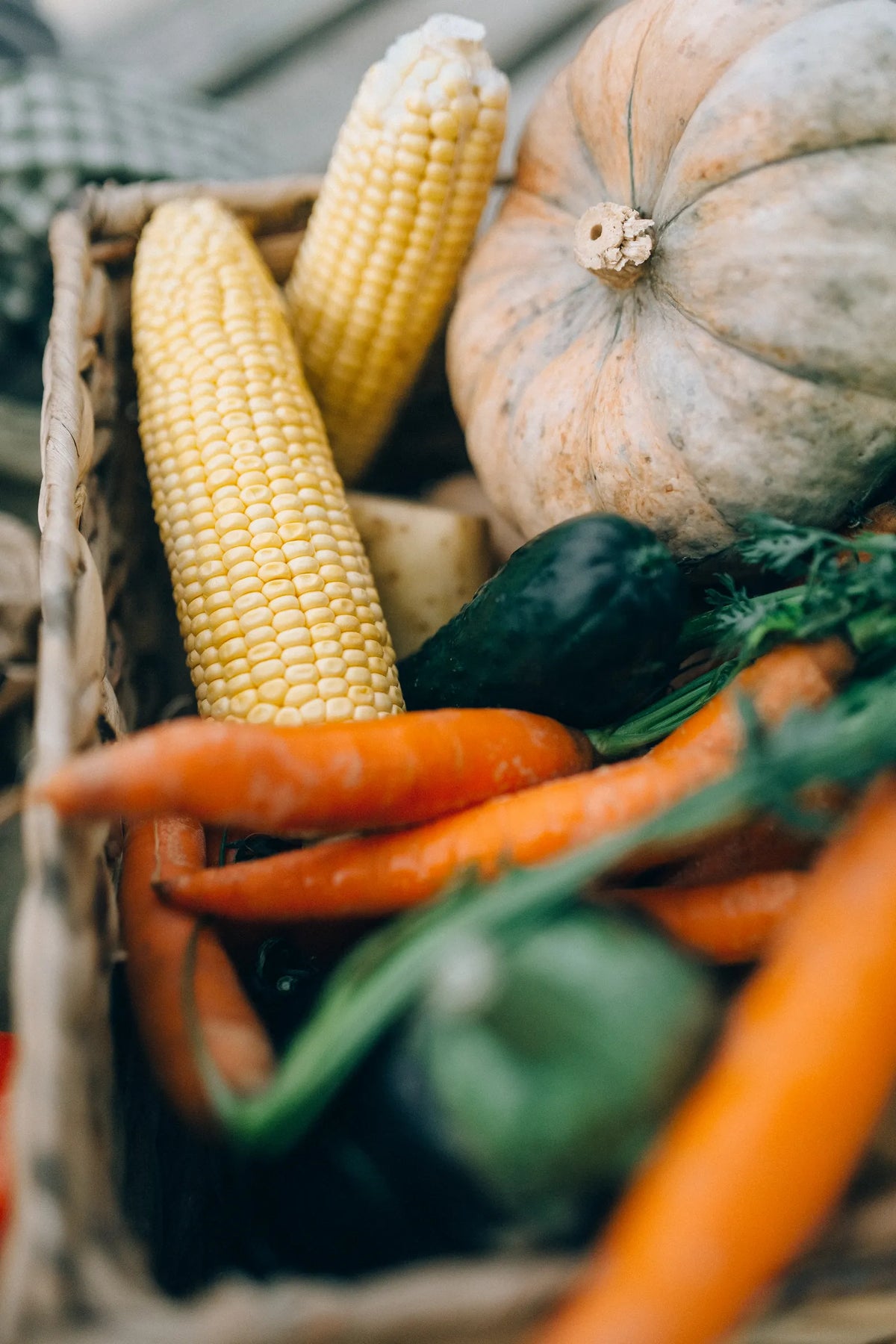 Frisches Gemüse mit Kürbis und Möhren in einem Korb. Foto: Nataliya Vaitkevich / Pexels.