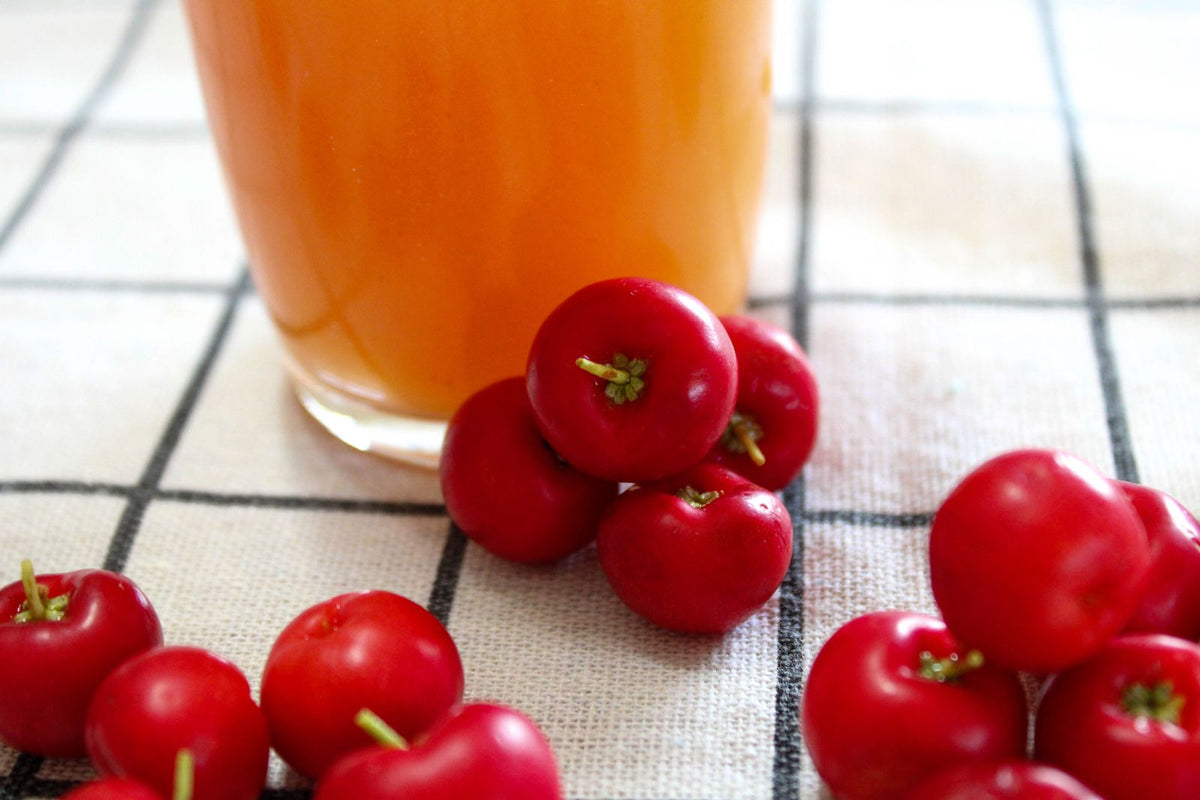 Acerolasaft mit frischen Acerolafrüchten als Vitamin-C-Quelle